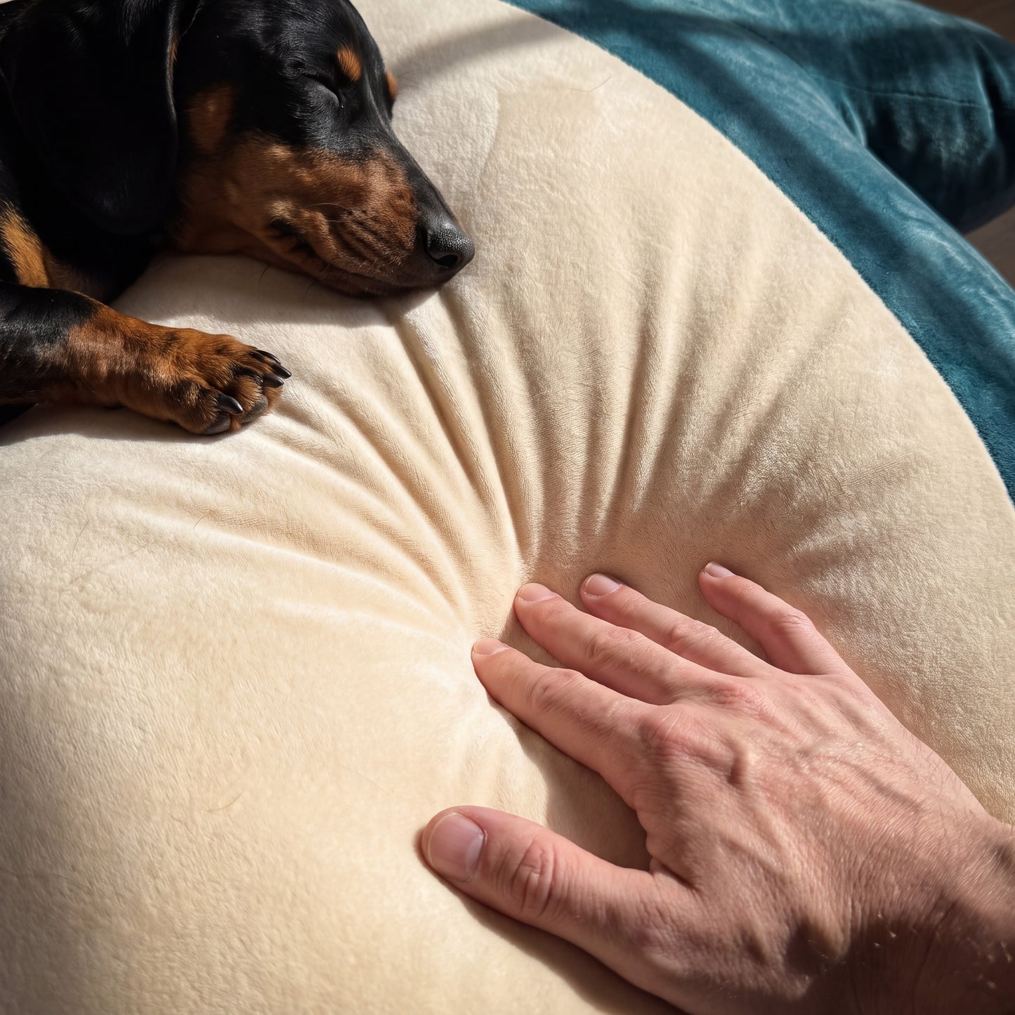 The Giant Sleepy Sidekick Bed